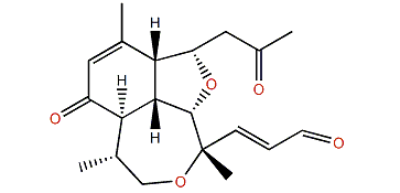 seco-Pachyclavulariaenone A